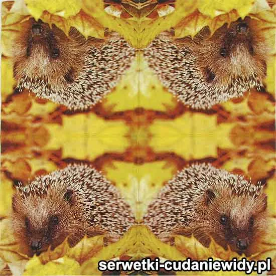 5721 Jesienny Jeż