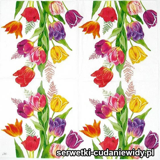 5757 Jasne Tulipany