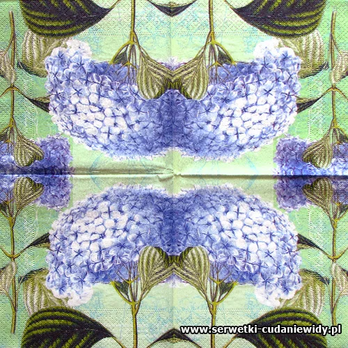 5767 Hydrangea