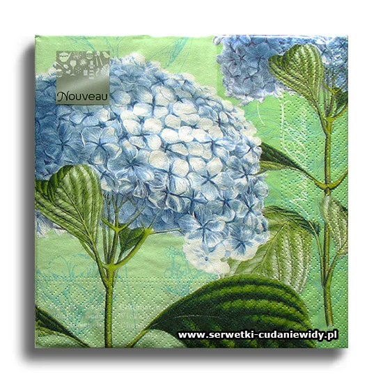 5767PACZKA Hydrangea