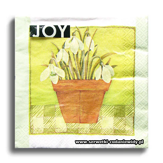 5783PACZKA Paczka Paper Design 20 Szt.