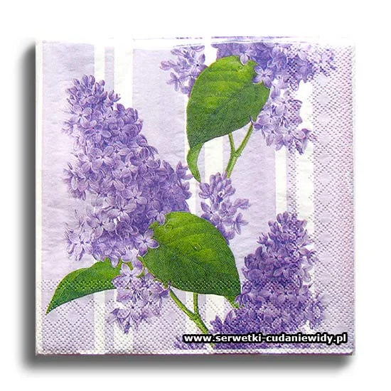 5793PACZKA Lilacs
