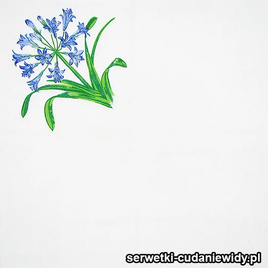 58012 Serwetki Dekoracyjne