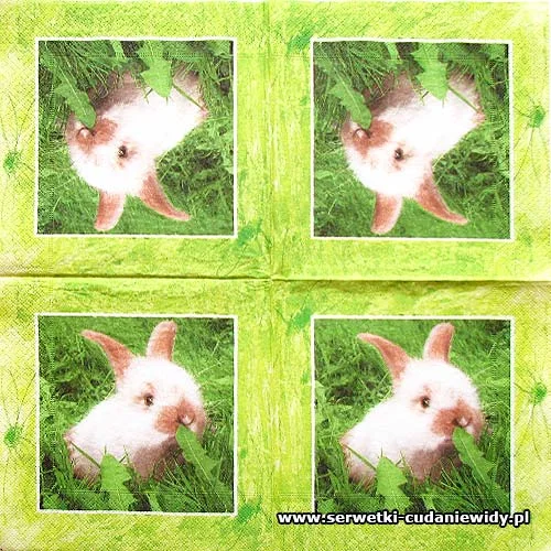 5820 Bunny Heaven