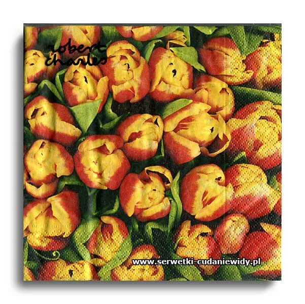 5825PACZKA Tulips