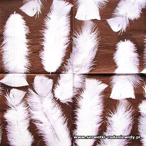 5832 Light As A Feather