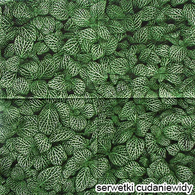 5836 Leaf