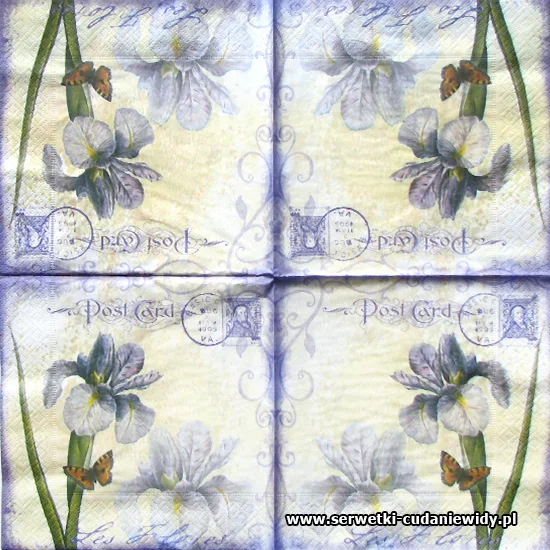 5861 Iris Flower