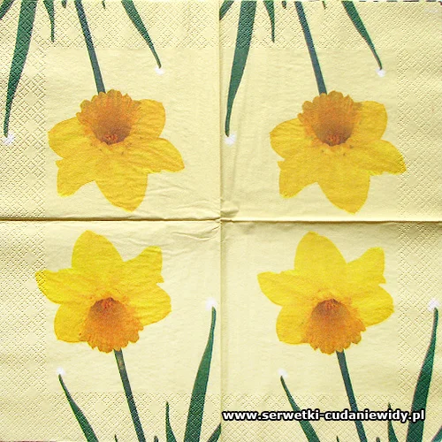 5868 Narcisus