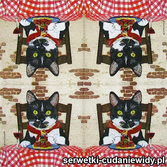 5878 Kot Przy Obiedzie