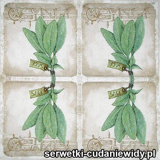 5898 Szałwia