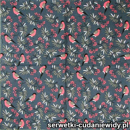 5902 Ptaki Ciernistych Krzewów