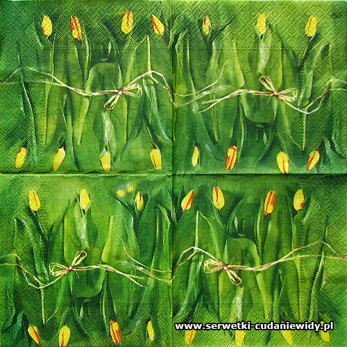 5904 Fresh Tulips