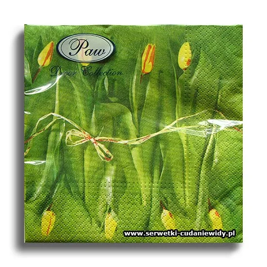 5904PACZKA Fresh Tulips