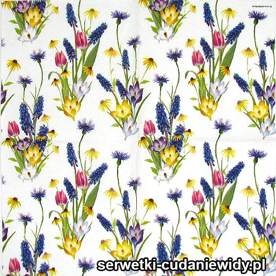 5931 Krokusy Szafirki Tulipany