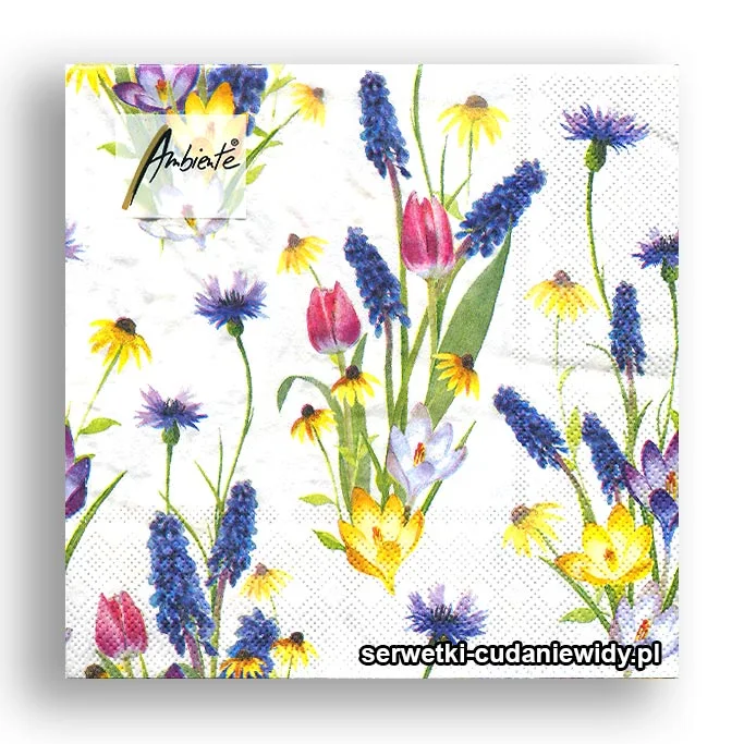 5931PACZKA Krokusy Szafirki Tulipany