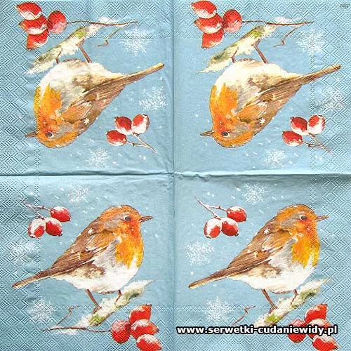 5949 Winter Robin Blue