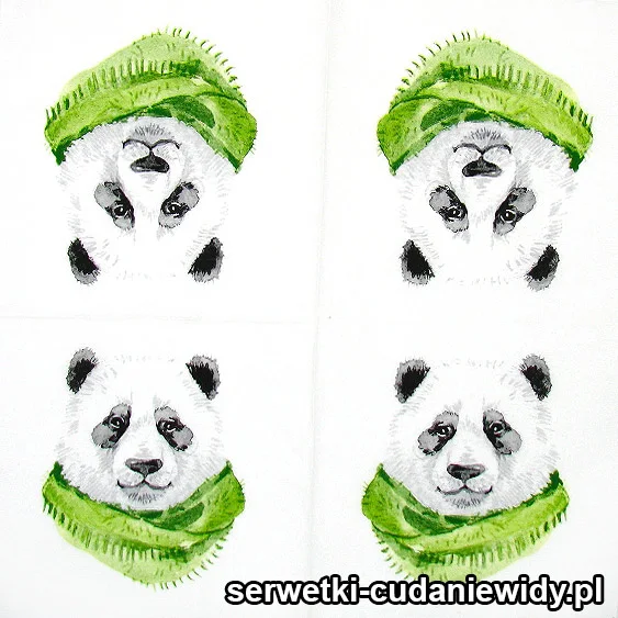 5952 Panda W Szaliku