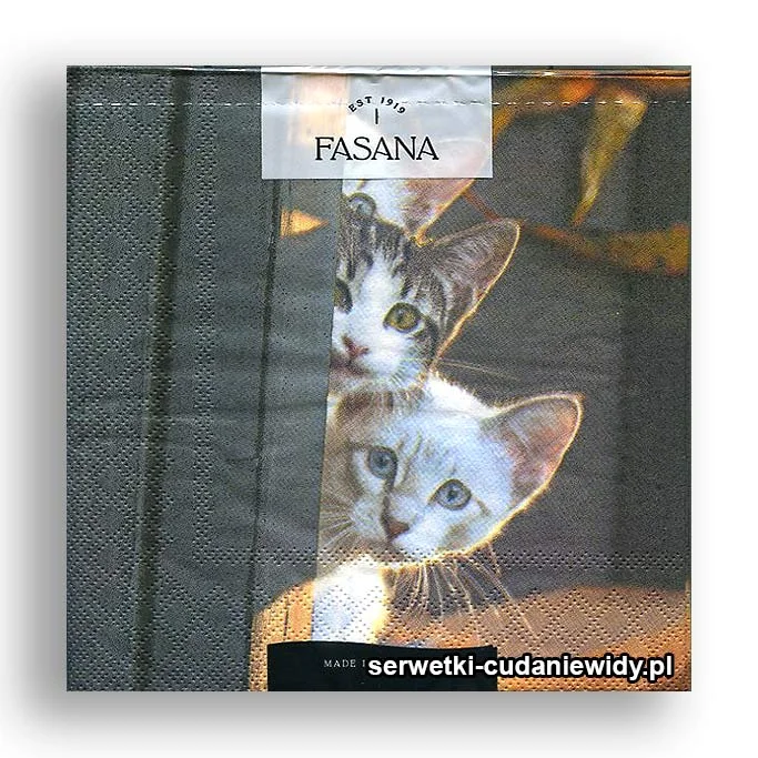 5964PACZKA Poszedł Już?