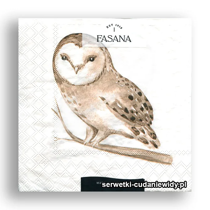 6017PACZKA Sowa Rysowana