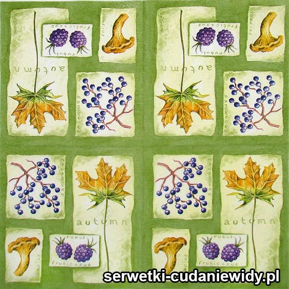 60182 Serwetki Dekoracyjne