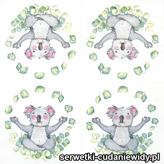 6026 Joga Koala