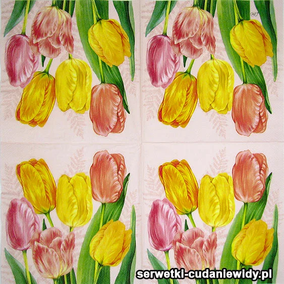 Tulipany