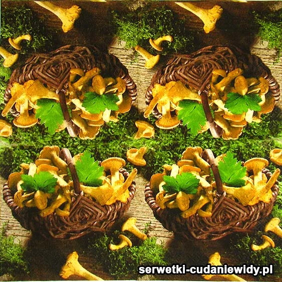 60327 Serwetki Dekoracyjne