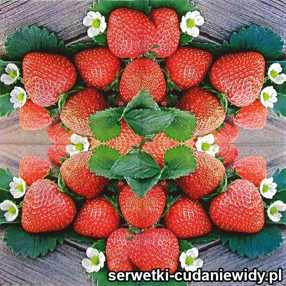 60380 Serwetki Papierowe