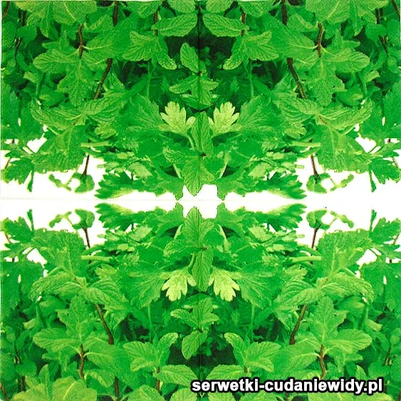 60384 Serwetki Dekoracyjne