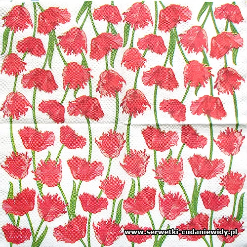 6039 Red Tulips