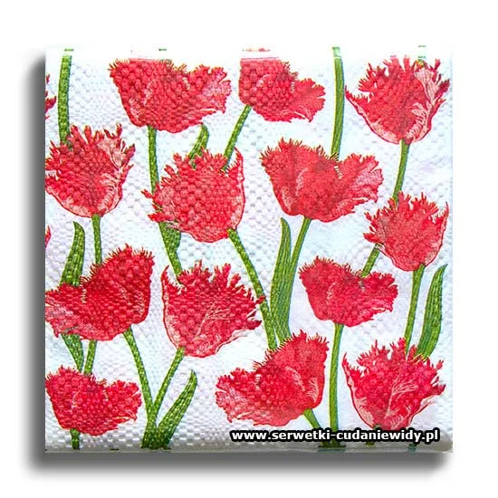 6039PACZKA Red Tulips
