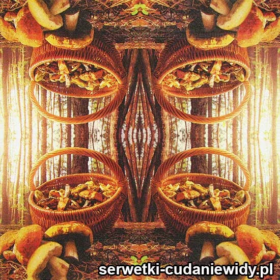 60405 Serwetki Papierowe