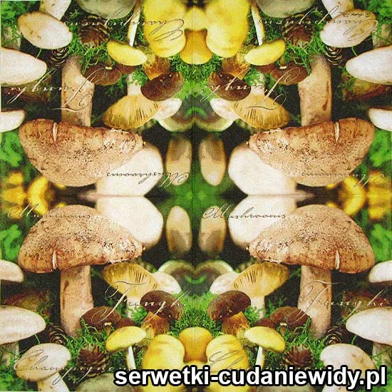 60406 Serwetki Papierowe