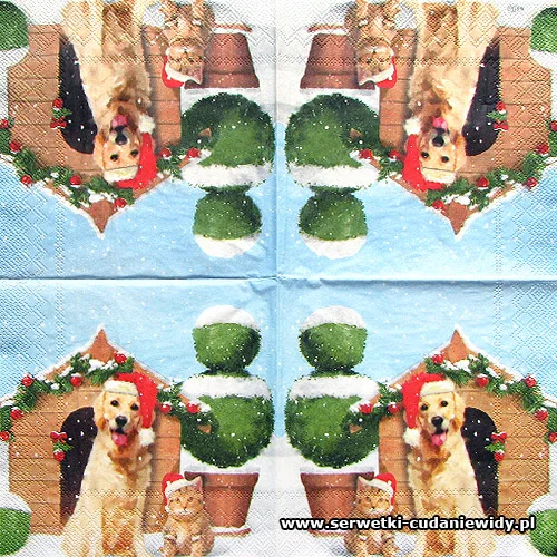 6041 X`mas Dog And Cat