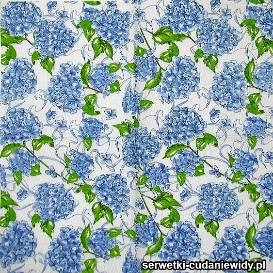 Hortensia