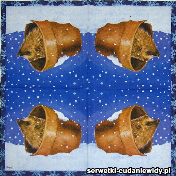 60493 Serwetki Papierowe