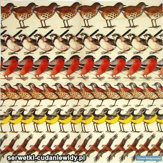 60522 Serwetki Dekoracyjne