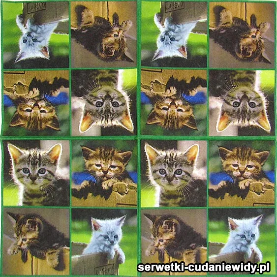 60539 Serwetki Dekoracyjne