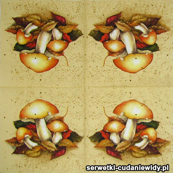 60577 Serwetki Dekoracyjne