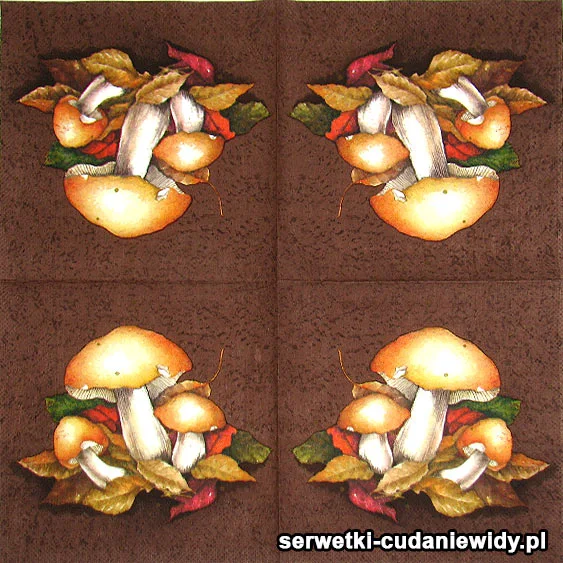 60579 Serwetki Dekoracyjne