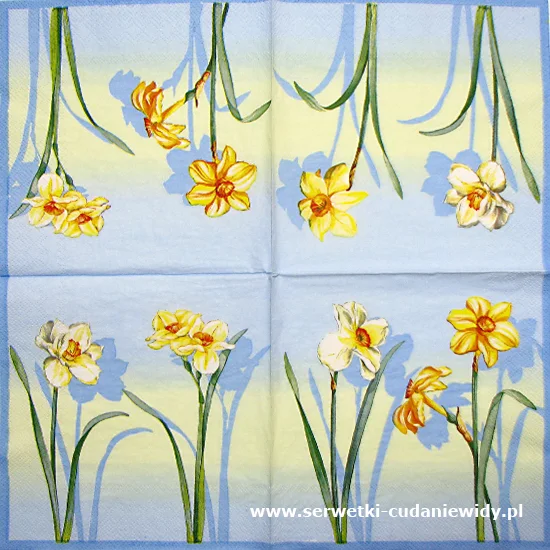 6070 Narcissus