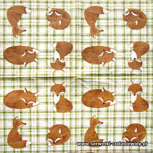 6094 Foxes
