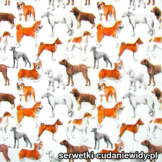 6097 Psy Ras Wszelakich