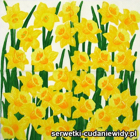61022 Serwetki Dekoracyjne