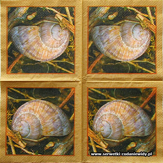 6116 Snail