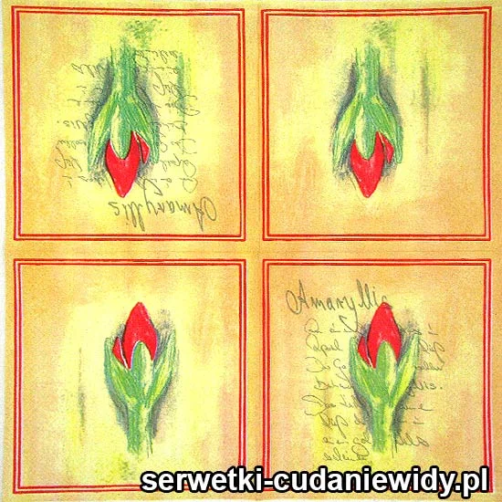 61362 Serwetki Papierowe