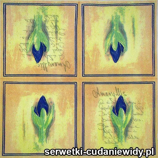 61363 Serwetki Papierowe