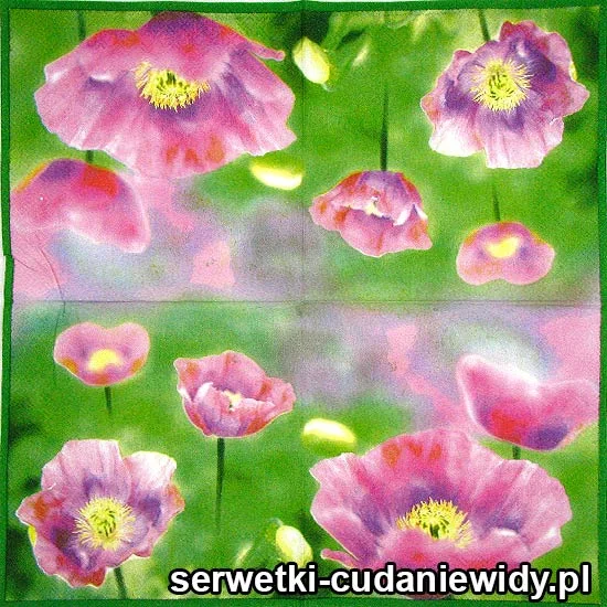 61391 Serwetki Papierowe