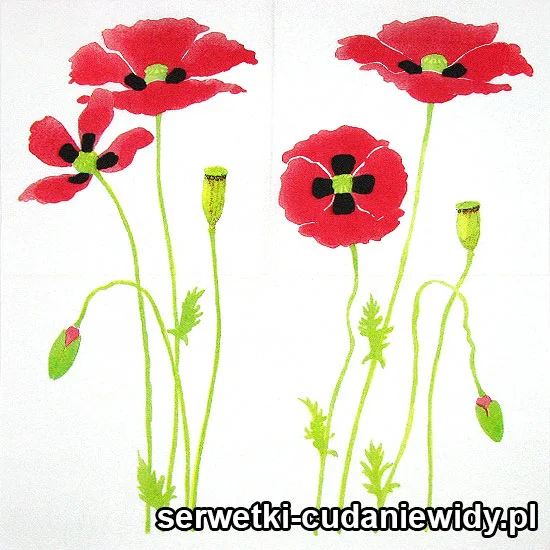 61395 Serwetki Papierowe